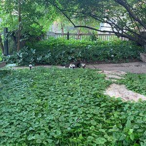 Meet your Posher, Carissa